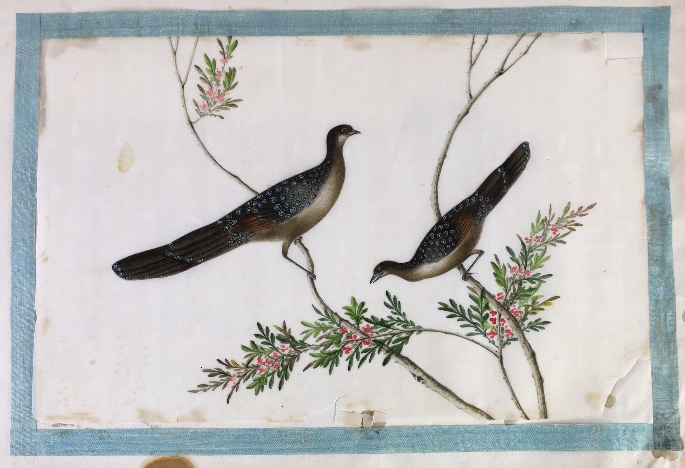 Two Chinese albums of pith paintings, 19th century, 25cm x 32cm